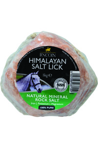 2022 Lincoln Himalayan Salt Lick 3715